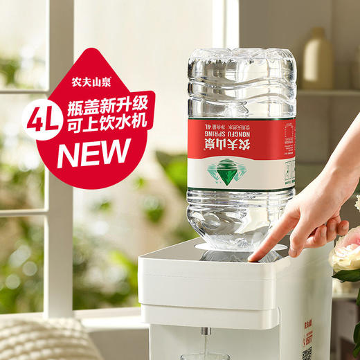 农夫山泉-天然水1*6*4L-纸箱装 商品图1