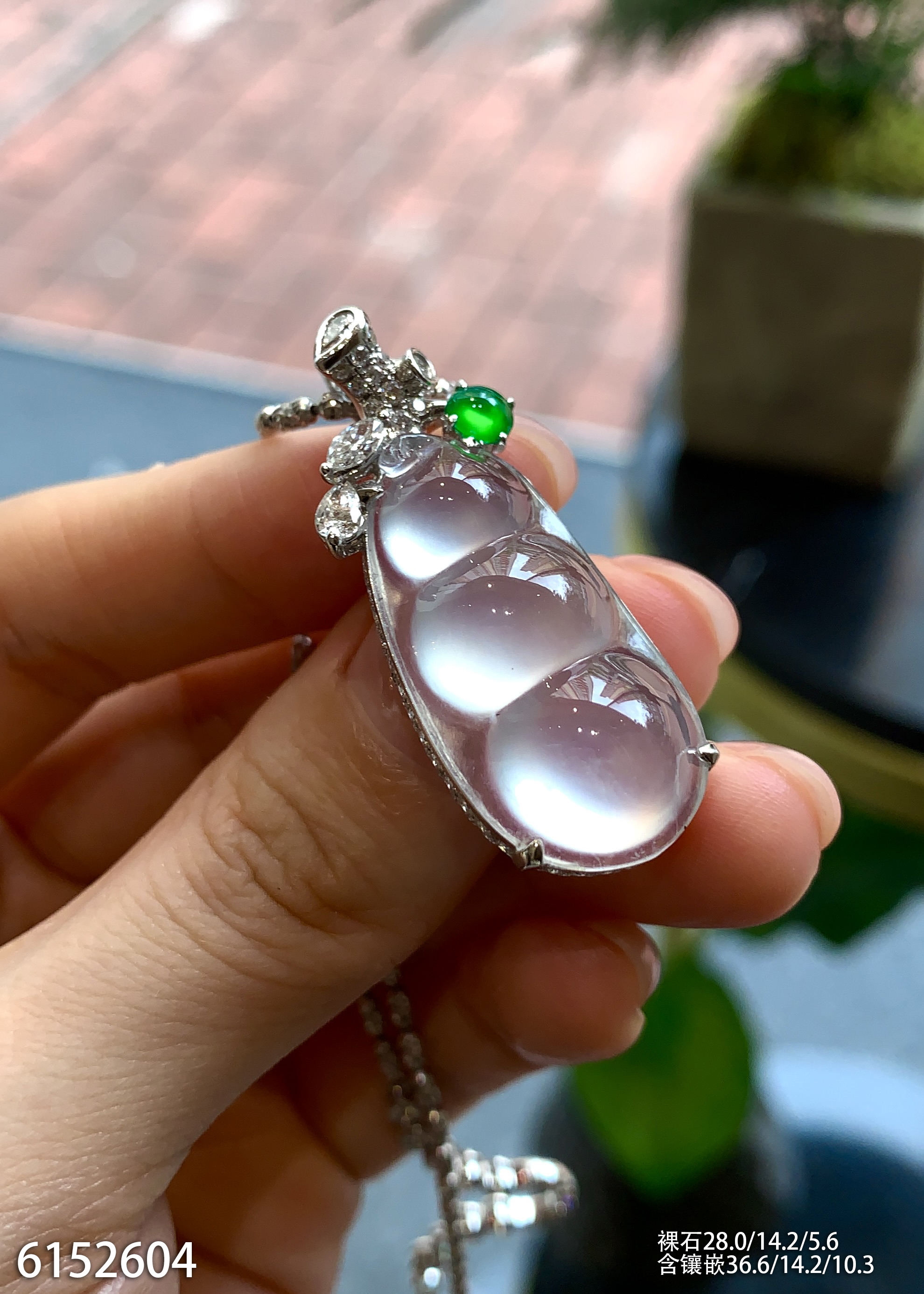 豆子吊坠。99999【6152604】