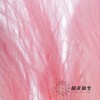 永生花材 | 针茅樱花粉 商品缩略图2
