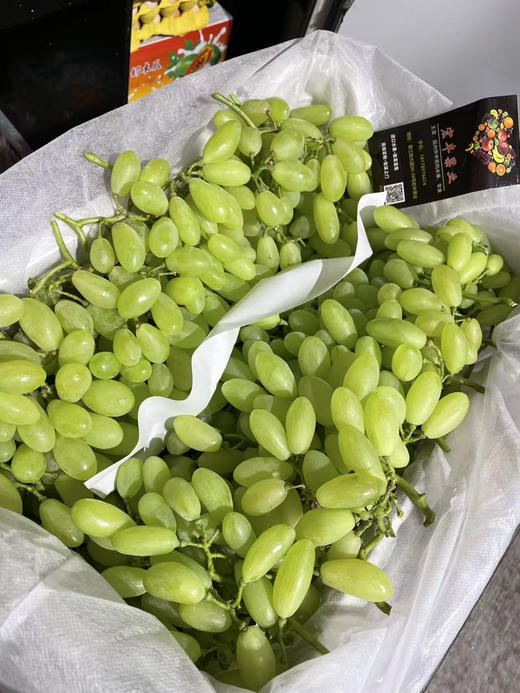 宏丰精选 维多利亚青提 活动价16.8一斤 商品图5