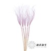 永生花材 | 针茅浅紫色 商品缩略图2