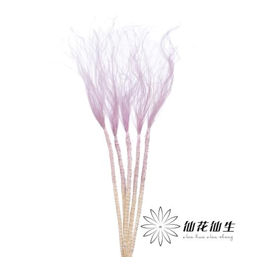 永生花材 | 针茅浅紫色 商品图2