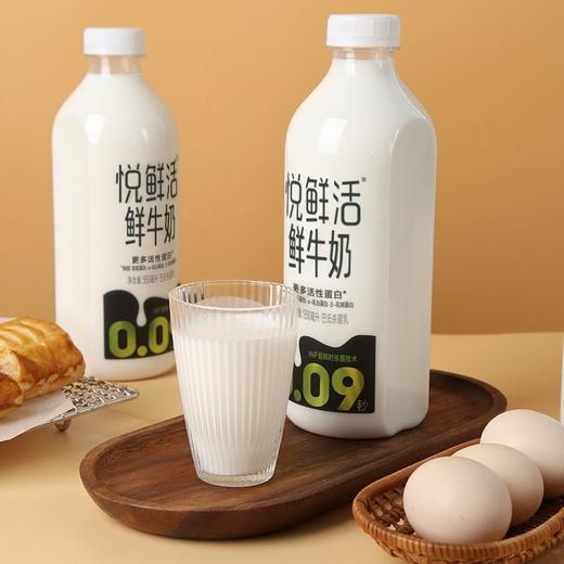 君乐宝950ml悦鲜活牛奶 商品图9