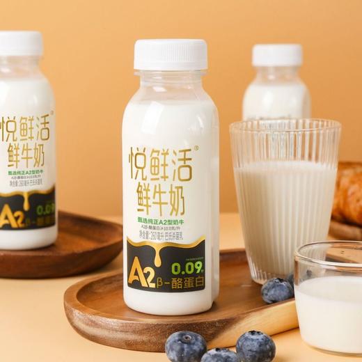 君乐宝260mlA2悦鲜活鲜牛奶 商品图4