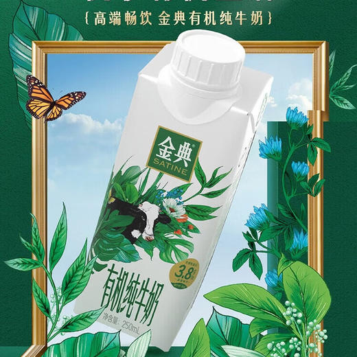 伊利金典有机纯牛奶梦幻盖(新)250ml*10 商品图0