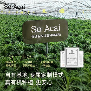 SO ACAI冻干纯羽衣甘蓝粉健身膳食纤维蔬菜粉青汁早餐代餐粉60g /水饮冲调 /冲饮谷物 /其他冲饮 商品图0
