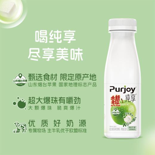 君乐宝300g纯享风味发酵乳（苹果味)酸奶 商品图7