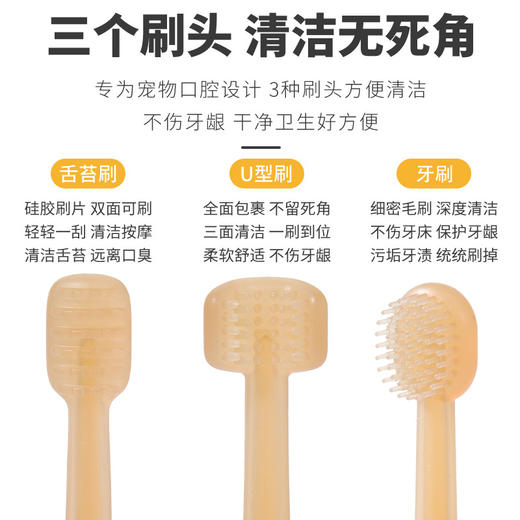 宠物硅胶牙刷三支装 狗狗猫咪口腔清洁护理舌苔刷 宠物用品批发 商品图1