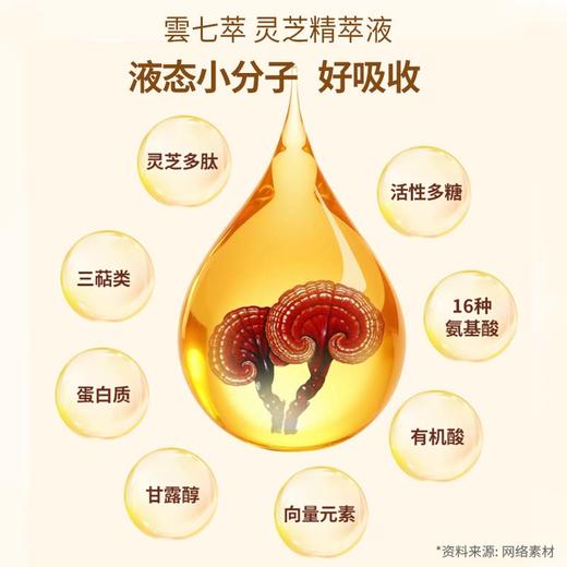 灵芝精萃液 增强免疫  滋养健康 商品图3