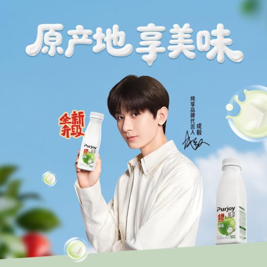 君乐宝300g纯享风味发酵乳（苹果味)酸奶 商品图8