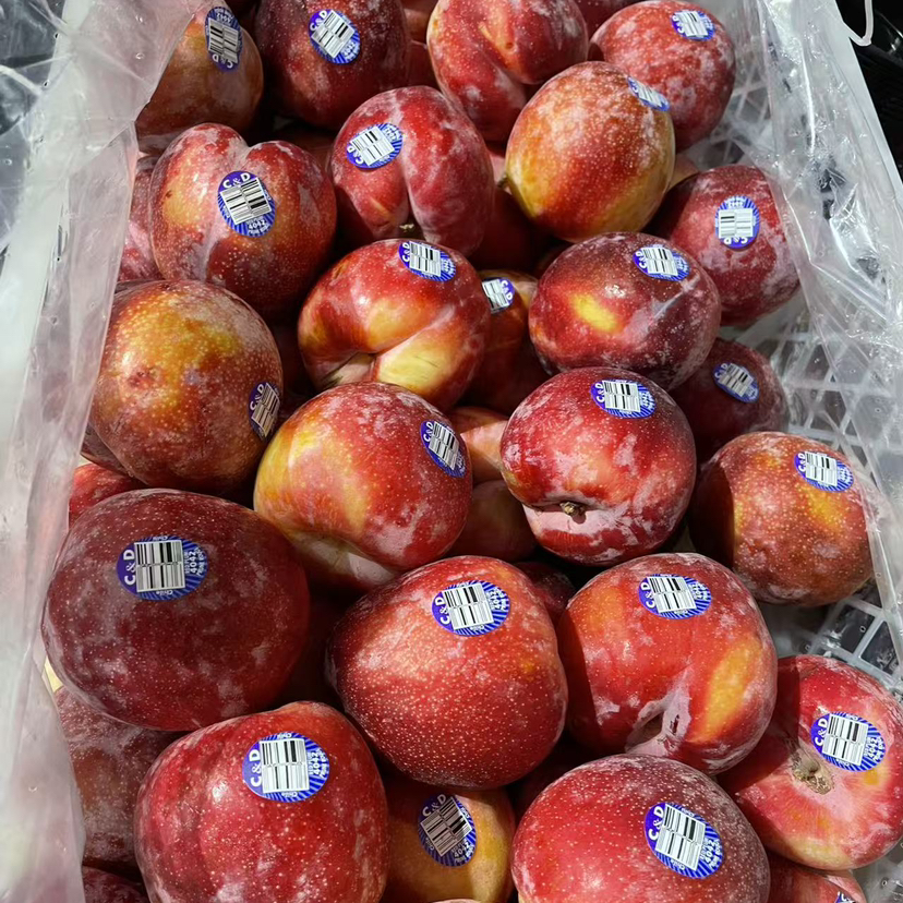 【宏丰精选】 雪红李 脆脆的果肉 籽小肉厚 爆汁，八分甜2分酸 活动价15.8元一斤