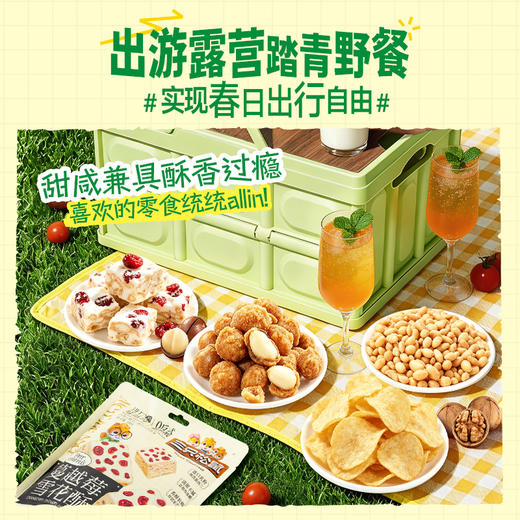 三只松鼠 春游踏青零食礼包户外野餐/17袋约1557g 赠露营箱+野餐垫 商品图2