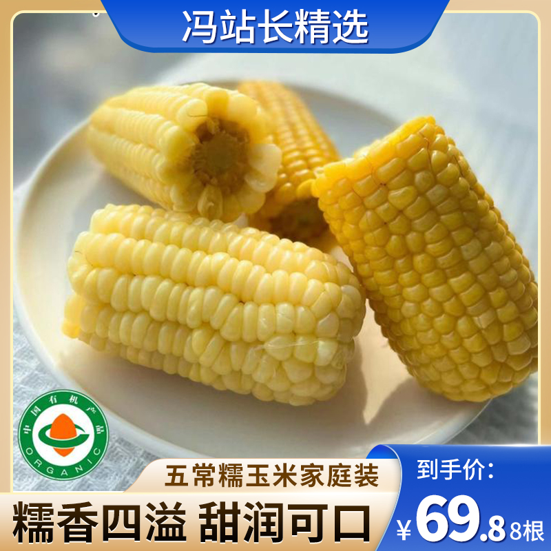 五常糯玉米家庭装 有机认证 当季采摘 3小时真空锁鲜 白糯玉米黄糯玉米 又糯又甜 双色可选 软糯细腻 香气浓郁