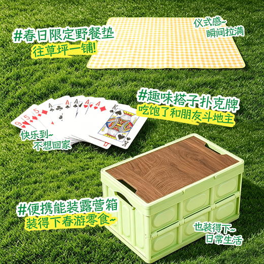 三只松鼠 春游踏青零食礼包户外野餐/17袋约1557g 赠露营箱+野餐垫 商品图3