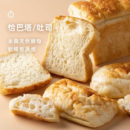 企鹅市集|米麴恰巴塔 / 吐司面包 高含水量 天然酵母48小时低温慢发酵 软糯胶质感 早餐面包 商品图1