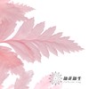 永生花材 ｜ 高山羊齿罗西粉 商品缩略图2