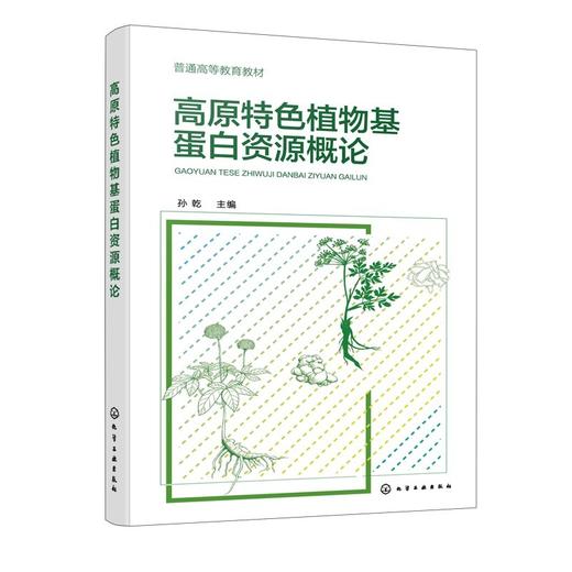 高原特色植物基蛋白资源概论（孙乾 ） 商品图0