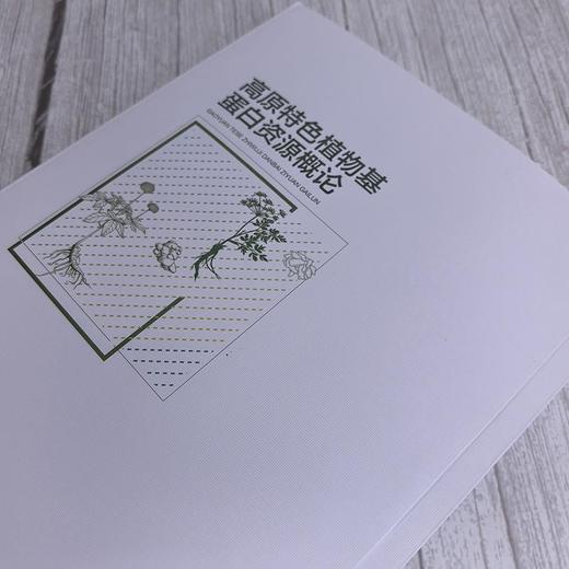 高原特色植物基蛋白资源概论（孙乾 ） 商品图3