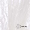 永生花材 | 针茅白色 商品缩略图3