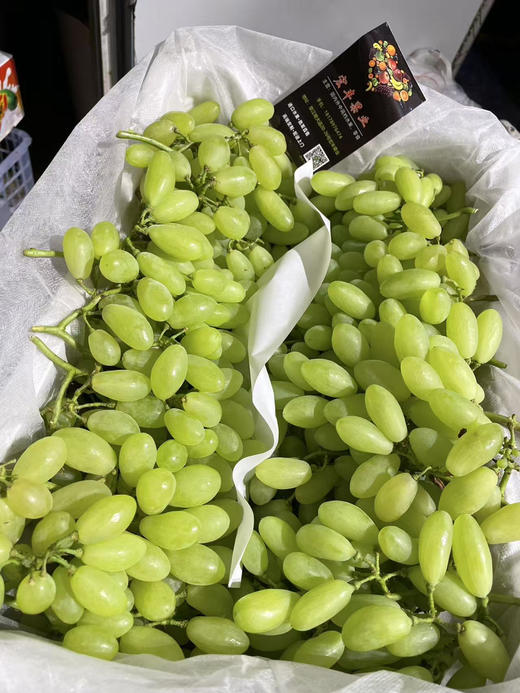 宏丰精选 维多利亚青提 活动价16.8一斤 商品图4