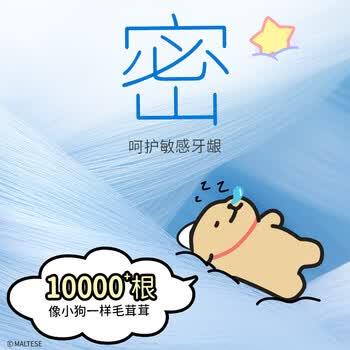 狮王(lion)线条小狗联名细齿洁密绒细护牙刷2支万毛软毛清洁牙刷 /个人护理 /口腔护理 /牙刷 商品图1