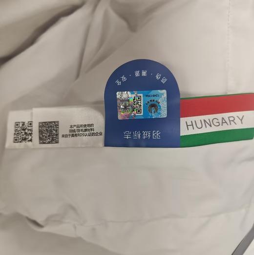 【店庆爆品】10楼堂皇   羽逸可水洗匈牙利进口鹅绒夏被/180g   200*230cm   吊牌价2290元    活动价599元 商品图1