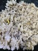 【MLT】生羊油 商品缩略图1
