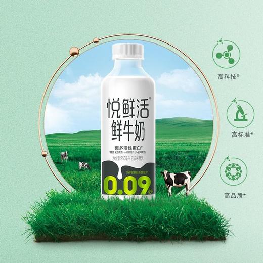 君乐宝950ml悦鲜活牛奶 商品图2