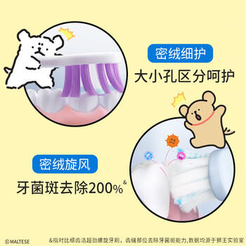 狮王(lion)线条小狗联名细齿洁密绒细护牙刷2支万毛软毛清洁牙刷 /个人护理 /口腔护理 /牙刷 商品图0