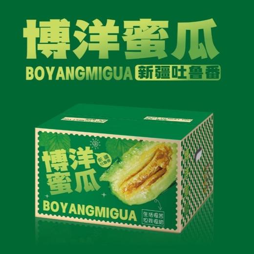 吐鲁番博洋蜜瓜 4.5-5斤/箱(3-5个) 商品图5