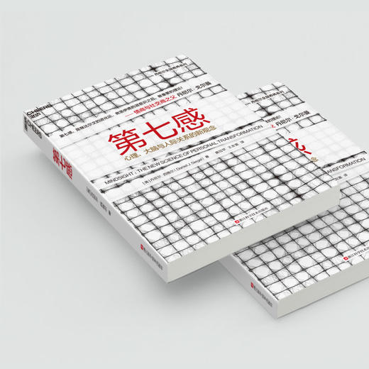 湛庐┃第七感  探索心理、大脑与人际关系的新观念 商品图4