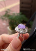 6140904，紫罗兰貔貅戒指。具体价格微信咨询 商品缩略图3