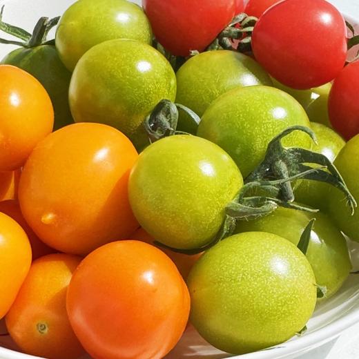 新疆吐鲁番 爆汁樱桃小番茄 酸甜爆汁 商品图13