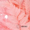 永生花材 ｜ 高山羊齿罗西粉 商品缩略图3