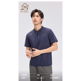 棉花星期五男士立领速冰T恤3613（XL-4XL）黑灰丈青绿（下单请备注颜色尺码）
