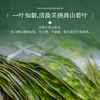 【嘉话】端午 粽享佳宴1020g 员工福利-FN 商品缩略图2