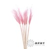 永生花材 | 针茅樱花粉 商品缩略图1