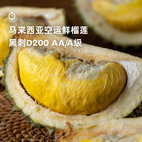 企鹅市集|马来西亚「黑刺D200」空运鲜榴莲 顶级经典品种 奶油焦糖香