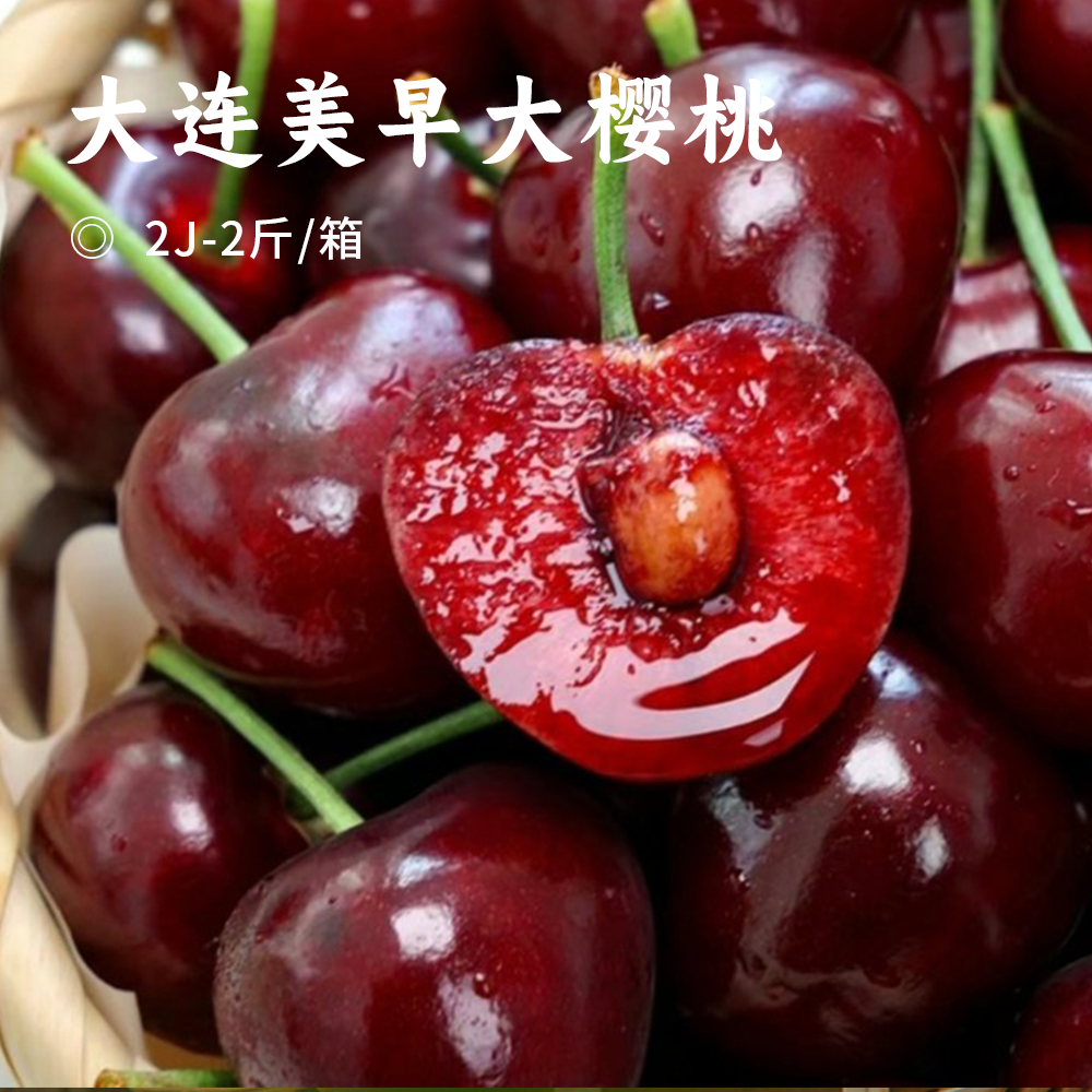 大连美早大樱桃 | 精选26mm+大果 现摘现发新鲜直达 颗颗饱满 肉厚多汁 一口爆浆