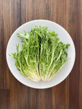 【MLT】苦菊