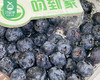 云南怡颗莓小蓝莓（12+）/1箱（125g*12盒） 商品缩略图4