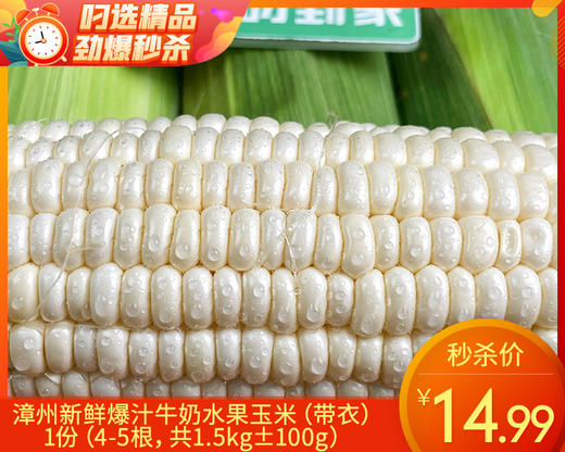 漳州新鲜爆汁牛奶水果玉米（带衣）/1份（4-5根，共1.5kg±100g） 商品图0