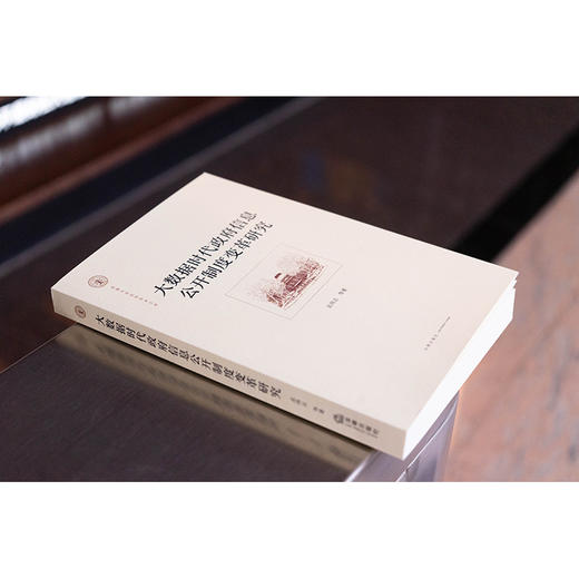 大数据时代政府信息公开制度变革研究 孟鸿志等著 法律出版社 商品图1