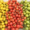 新疆吐鲁番 爆汁樱桃小番茄 酸甜爆汁 商品缩略图11