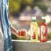 东方树叶-1*12*900mL-纸箱装 商品缩略图2