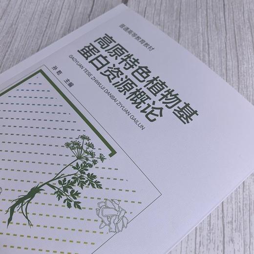 高原特色植物基蛋白资源概论（孙乾 ） 商品图1