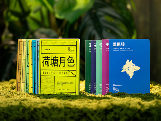 《拾圆文库》（全12册）|12位世界文坛大佬，本本经典，高性价比，给孩子高质量阅读，认知眼界、精神天花板 商品图0