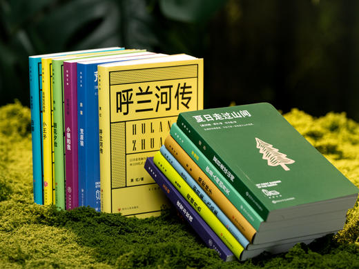 《拾圆文库》（全12册）|12位世界文坛大佬，本本经典，高性价比，给孩子高质量阅读，认知眼界、精神天花板 商品图3