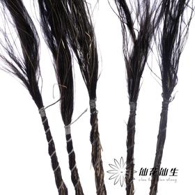 永生花材 | 针茅黑色