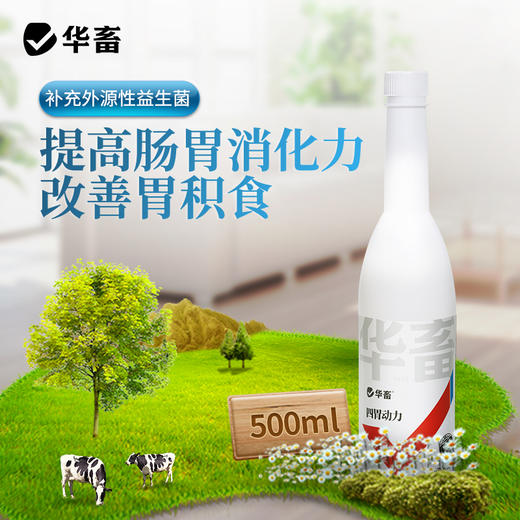 华畜四胃动力500ml 提高肠胃消化力改善胃积食 商品图0
